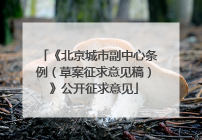 《北京城市副中心条例（草案征求意见稿）》公开征求意见