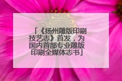 《扬州雕版印刷技艺志》首发，为国内首部专业雕版印刷全媒体志书