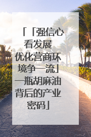 「强信心 看发展 优化营商环境争一流」一瓶胡麻油背后的产业密码