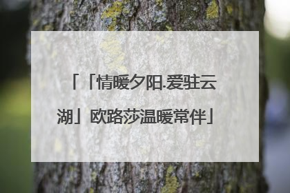 「情暖夕阳.爱驻云湖」欧路莎温暖常伴