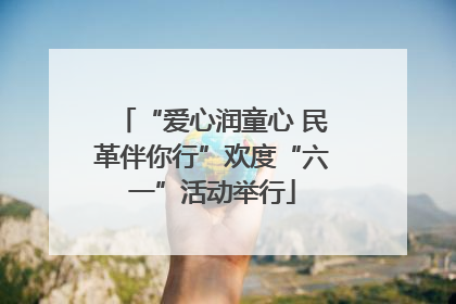 “爱心润童心 民革伴你行”欢度“六一”活动举行