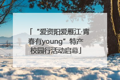 “爱资阳爱雁江·青春有young”特产校园行活动启幕