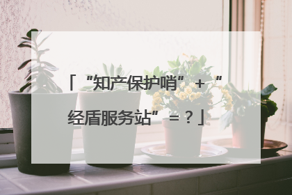 “知产保护哨”+“经盾服务站”=？