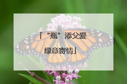 “瓶”添父爱 绿意寄情