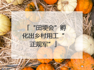 “田埂会”孵化出乡村用工“正规军”