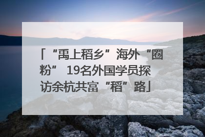 “禹上稻乡”海外“圈粉” 19名外国学员探访余杭共富“稻”路