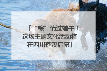 “粽”情过端午！这场主题文化活动将在四川蓬溪启幕
