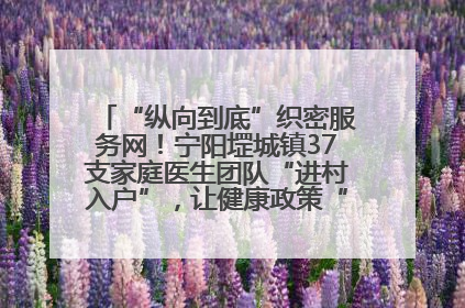 “纵向到底”织密服务网！宁阳堽城镇37支家庭医生团队“进村入户”，让健康政策“落地生根”