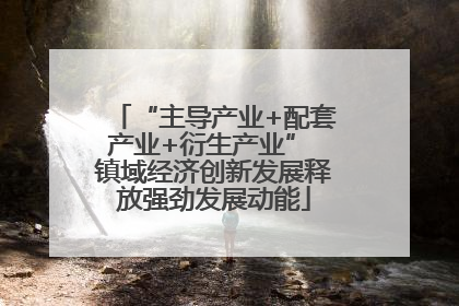 “主导产业+配套产业+衍生产业” 镇域经济创新发展释放强劲发展动能