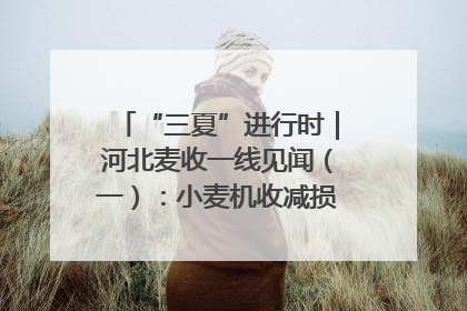 “三夏”进行时｜河北麦收一线见闻（一）：小麦机收减损“竞技” 农机高手麦田“过招”