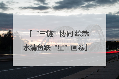 “三链”协同 绘就水清鱼跃“星”画卷