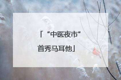 “中医夜市”首秀马耳他