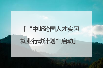 “中斯跨国人才实习就业行动计划”启动