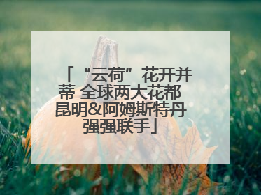 “云荷”花开并蒂 全球两大花都昆明&阿姆斯特丹强强联手