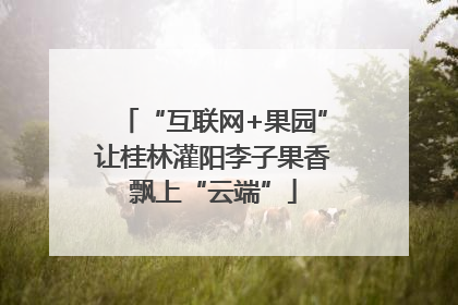 “互联网+果园”让桂林灌阳李子果香飘上“云端”