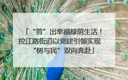 “剪”出幸福绿荫生活！控江路街道以党建引领实现“树与民”双向奔赴