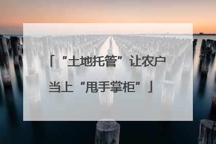 “土地托管”让农户当上“甩手掌柜”