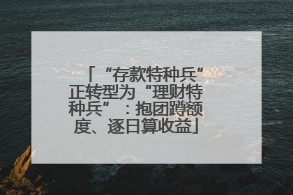 “存款特种兵”正转型为“理财特种兵”：抱团蹲额度、逐日算收益
