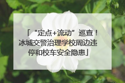 “定点+流动”巡查！冰城交警治理学校周边违停和校车安全隐患