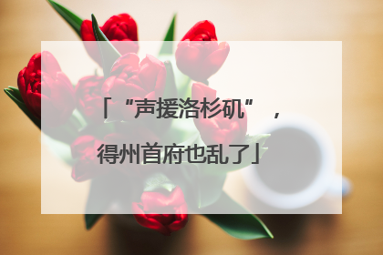 “声援洛杉矶”，得州首府也乱了