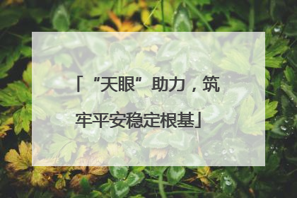 “天眼”助力，筑牢平安稳定根基