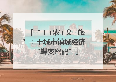 “工+农+文+旅”：丰城市镇域经济“蝶变密码”