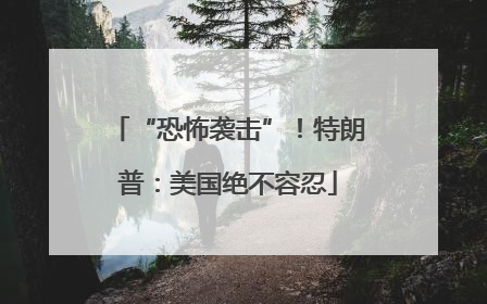 “恐怖袭击”！特朗普：美国绝不容忍