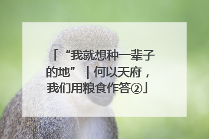 “我就想种一辈子的地”｜何以天府，我们用粮食作答②