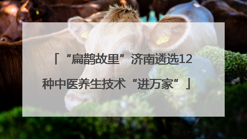 “扁鹊故里”济南遴选12种中医养生技术“进万家”