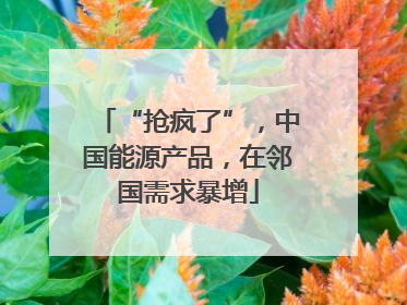 “抢疯了”，中国能源产品，在邻国需求暴增