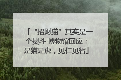 “招财猫”其实是一个熨斗 博物馆回应：是猫是虎，见仁见智