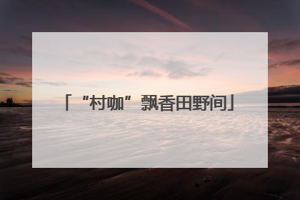 “村咖”飘香田野间