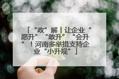 “政”解丨让企业“愿升”“敢升”“会升”！河南多举措支持企业“小升规”