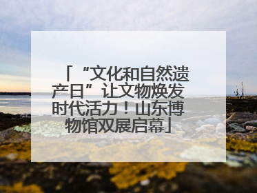 “文化和自然遗产日”让文物焕发时代活力！山东博物馆双展启幕