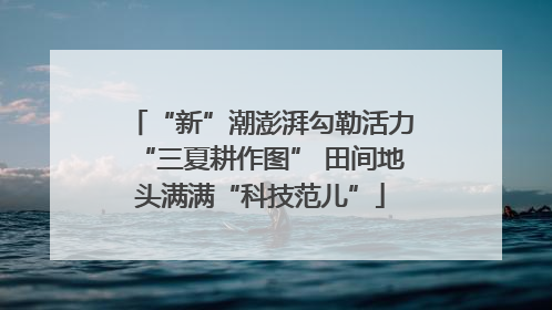 “新”潮澎湃勾勒活力“三夏耕作图” 田间地头满满“科技范儿”