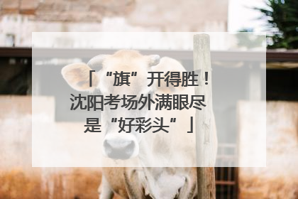 “旗”开得胜！沈阳考场外满眼尽是“好彩头”
