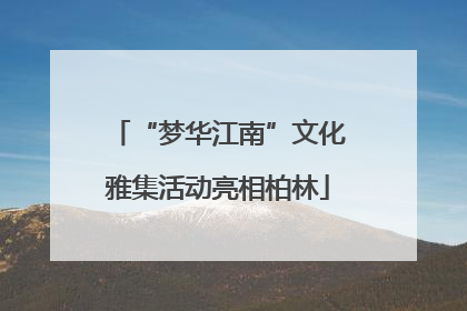 “梦华江南”文化雅集活动亮相柏林