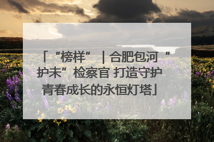 “榜样”｜合肥包河“护未”检察官 打造守护青春成长的永恒灯塔