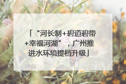 “河长制+碧道碧带+幸福河湖”，广州推进水环境提档升级