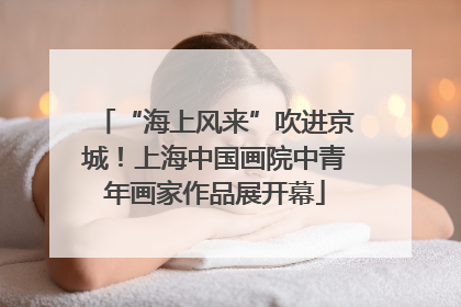 “海上风来”吹进京城！上海中国画院中青年画家作品展开幕