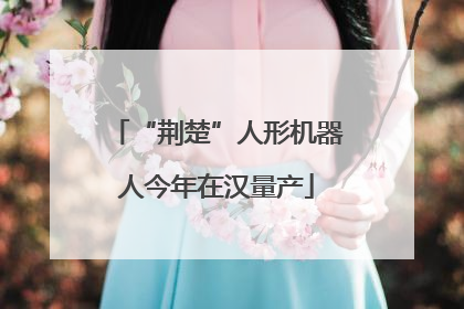 “荆楚”人形机器人今年在汉量产