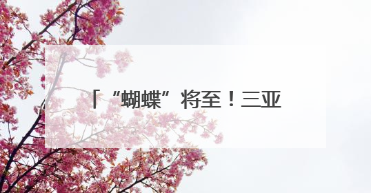 “蝴蝶”将至！三亚此类项目已暂停营业