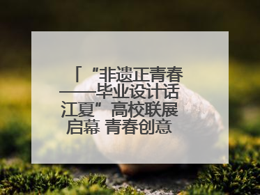 “非遗正青春——毕业设计话江夏”高校联展启幕 青春创意激活千年文脉