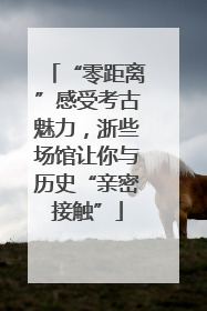 “零距离”感受考古魅力，浙些场馆让你与历史“亲密接触”