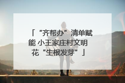 “齐帮办”清单赋能 小王家庄村文明花“生根发芽”