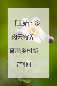 王婧：多肉云寄养 育出乡村新产业