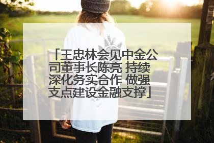 王忠林会见中金公司董事长陈亮 持续深化务实合作 做强支点建设金融支撑