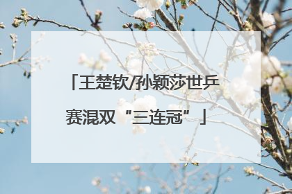 王楚钦/孙颖莎世乒赛混双“三连冠”