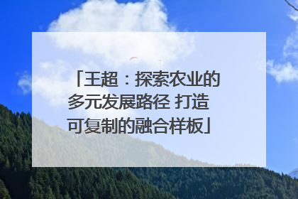 王超：探索农业的多元发展路径 打造可复制的融合样板