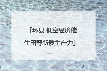 环县 低空经济催生田野新质生产力